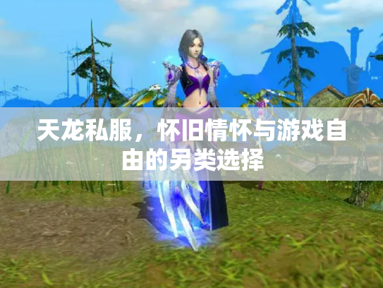 天龙私服，怀旧情怀与游戏自由的另类选择