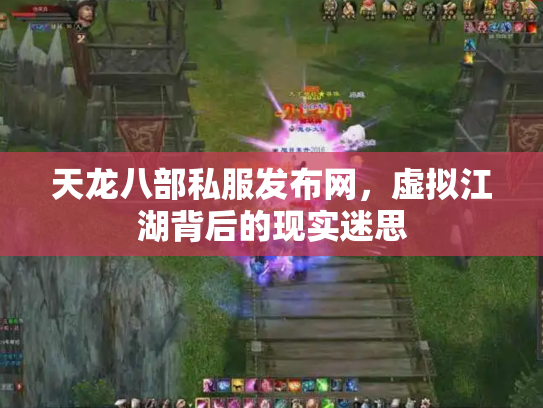 天龙八部私服发布网，虚拟江湖背后的现实迷思
