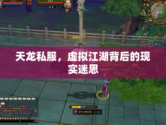 天龙私服，虚拟江湖背后的现实迷思