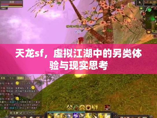 天龙sf，虚拟江湖中的另类体验与现实思考