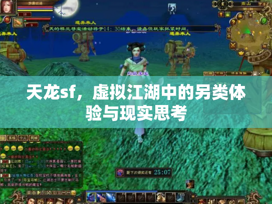 天龙sf，虚拟江湖中的另类体验与现实思考