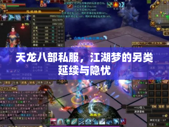 天龙八部私服，江湖梦的另类延续与隐忧