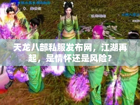 天龙八部私服发布网，江湖再起，是情怀还是风险？