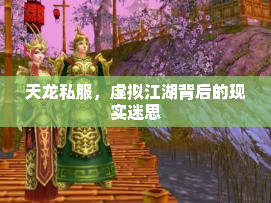 天龙私服，虚拟江湖背后的现实迷思