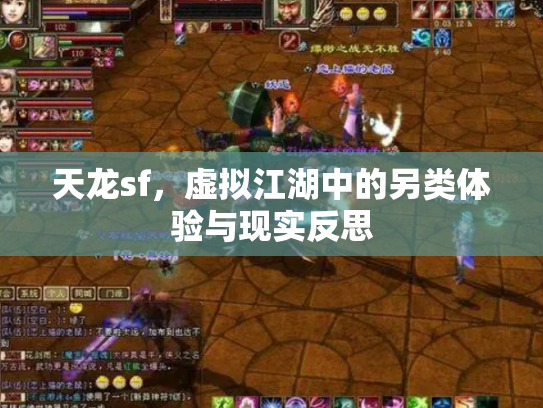 天龙sf，虚拟江湖中的另类体验与现实反思