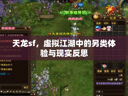 天龙sf，虚拟江湖中的另类体验与现实反思