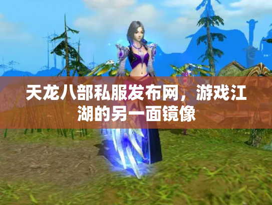 天龙八部私服发布网，游戏江湖的另一面镜像