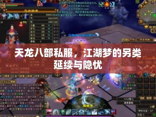 天龙八部私服，江湖梦的另类延续与隐忧