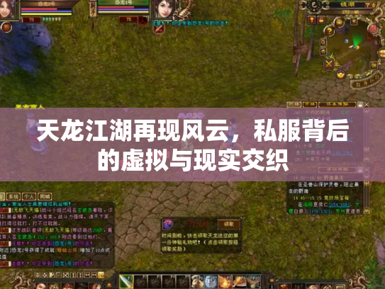 天龙江湖再现风云，私服背后的虚拟与现实交织