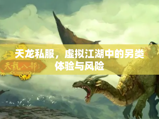 天龙私服，虚拟江湖中的另类体验与风险