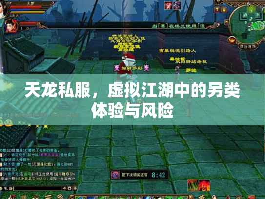 天龙私服，虚拟江湖中的另类体验与风险