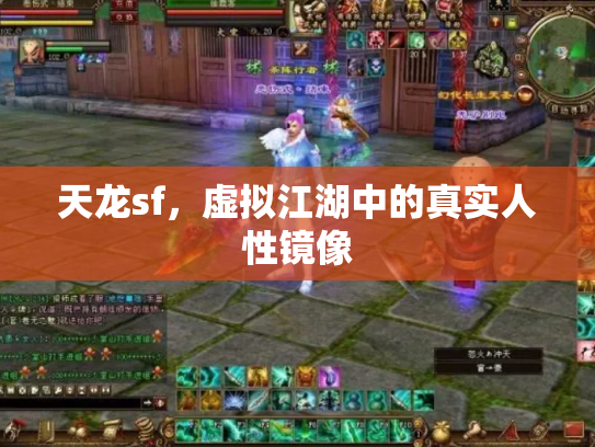 天龙sf，虚拟江湖中的真实人性镜像