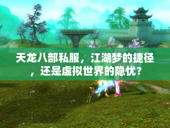 天龙八部私服，江湖梦的捷径，还是虚拟世界的隐忧？