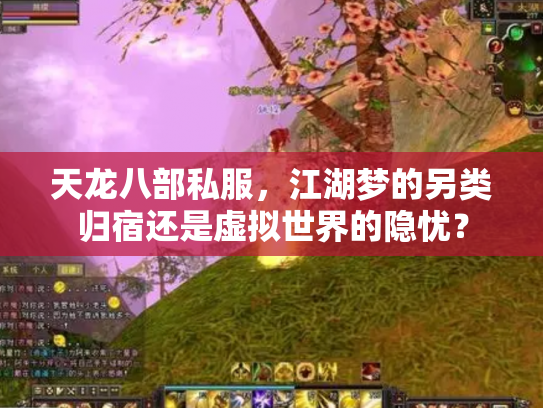 天龙八部私服，江湖梦的另类归宿还是虚拟世界的隐忧？