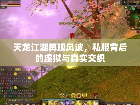 天龙江湖再现风波，私服背后的虚拟与真实交织