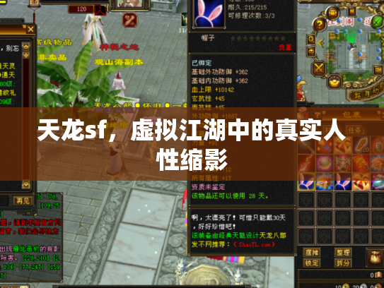 天龙sf，虚拟江湖中的真实人性缩影