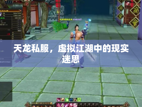 天龙私服，虚拟江湖中的现实迷思