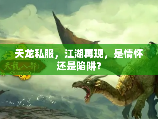 天龙私服，江湖再现，是情怀还是陷阱？
