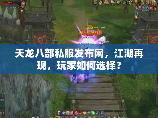 天龙八部私服发布网，江湖再现，玩家如何选择？