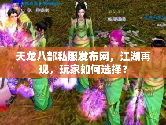 天龙八部私服发布网，江湖再现，玩家如何选择？
