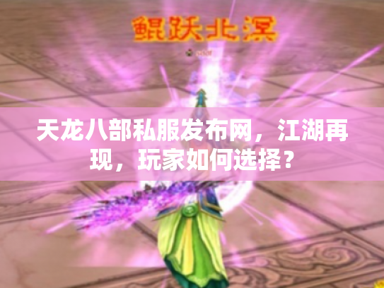 天龙八部私服发布网，江湖再现，玩家如何选择？
