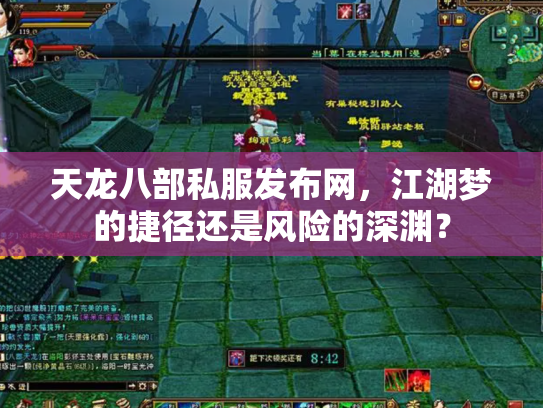 天龙八部私服发布网，江湖梦的捷径还是风险的深渊？