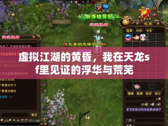 虚拟江湖的黄昏，我在天龙sf里见证的浮华与荒芜