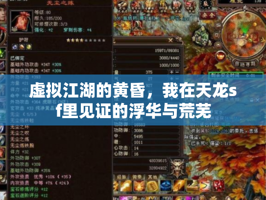 虚拟江湖的黄昏，我在天龙sf里见证的浮华与荒芜