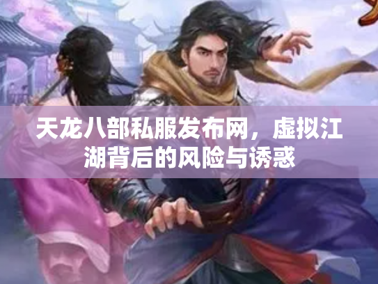 天龙八部私服发布网，虚拟江湖背后的风险与诱惑