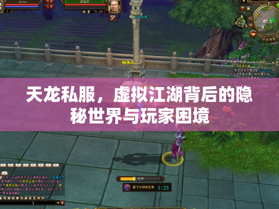 天龙私服，虚拟江湖背后的隐秘世界与玩家困境