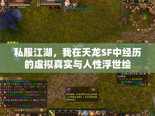 私服江湖，我在天龙SF中经历的虚拟真实与人性浮世绘
