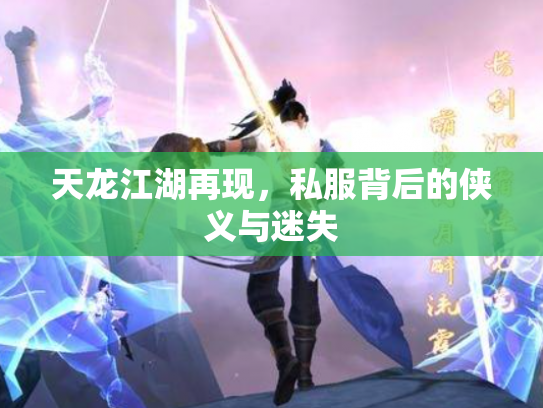天龙江湖再现，私服背后的侠义与迷失