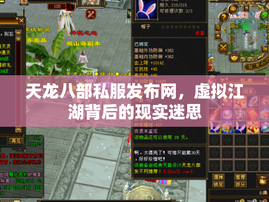 天龙八部私服发布网，虚拟江湖背后的现实迷思