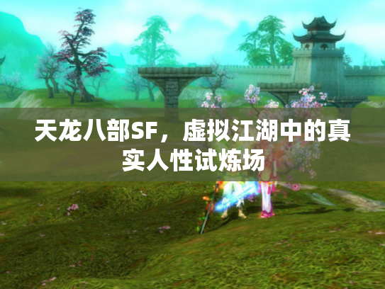 天龙八部SF，虚拟江湖中的真实人性试炼场