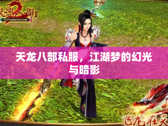 天龙八部私服，江湖梦的幻光与暗影