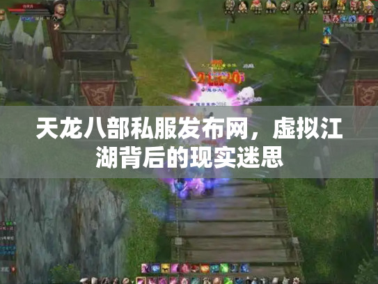 天龙八部私服发布网，虚拟江湖背后的现实迷思
