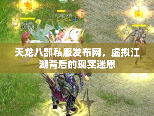 天龙八部私服发布网，虚拟江湖背后的现实迷思