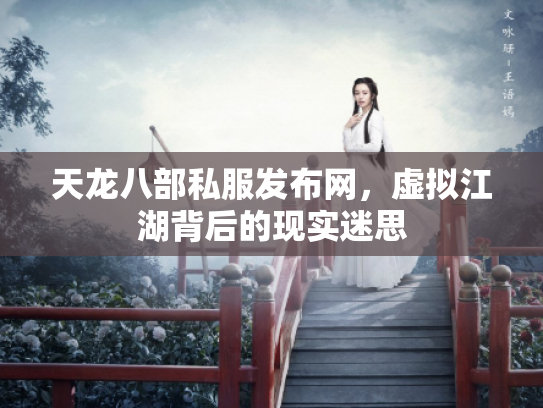 天龙八部私服发布网，虚拟江湖背后的现实迷思