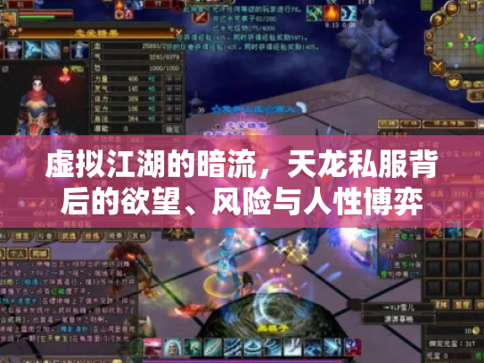 虚拟江湖的暗流，天龙私服背后的欲望、风险与人性博弈