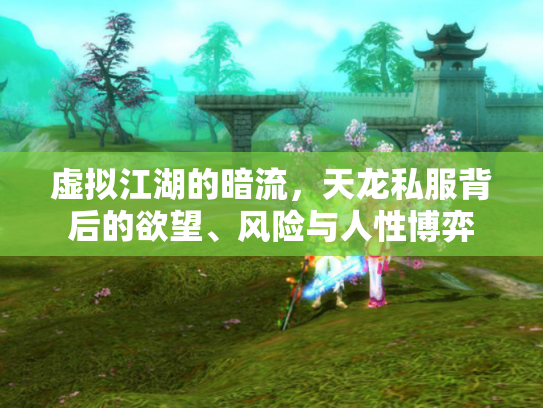 虚拟江湖的暗流，天龙私服背后的欲望、风险与人性博弈
