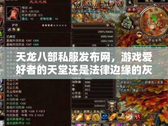 天龙八部私服发布网，游戏爱好者的天堂还是法律边缘的灰色地带？