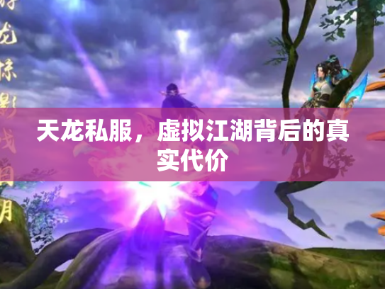 天龙私服，虚拟江湖背后的真实代价