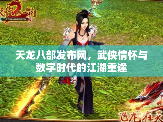天龙八部发布网，武侠情怀与数字时代的江湖重逢