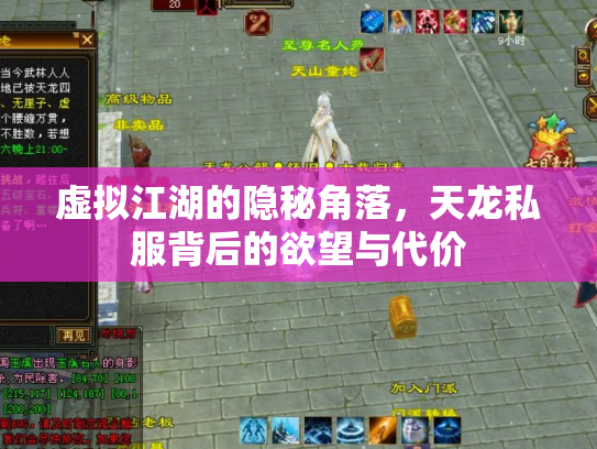 虚拟江湖的隐秘角落，天龙私服背后的欲望与代价