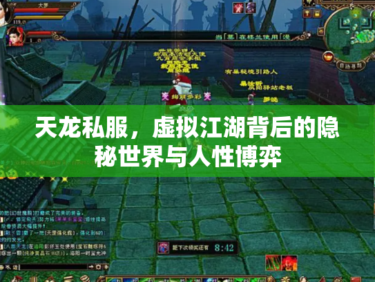 天龙私服，虚拟江湖背后的隐秘世界与人性博弈