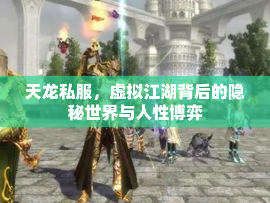 天龙私服，虚拟江湖背后的隐秘世界与人性博弈