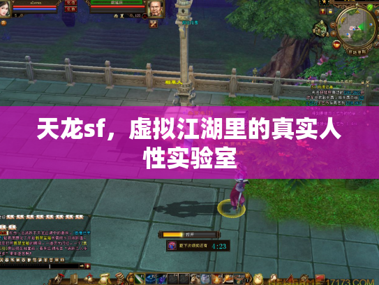 天龙sf，虚拟江湖里的真实人性实验室