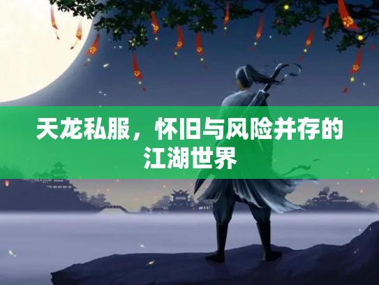 天龙私服，怀旧与风险并存的江湖世界