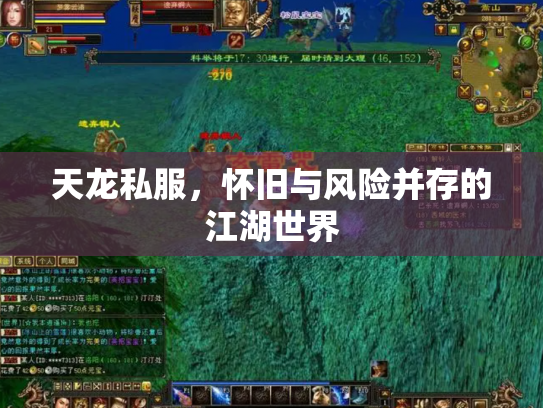 天龙私服，怀旧与风险并存的江湖世界