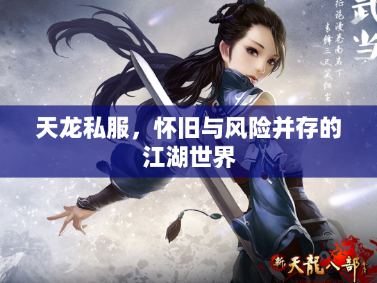 天龙私服，怀旧与风险并存的江湖世界